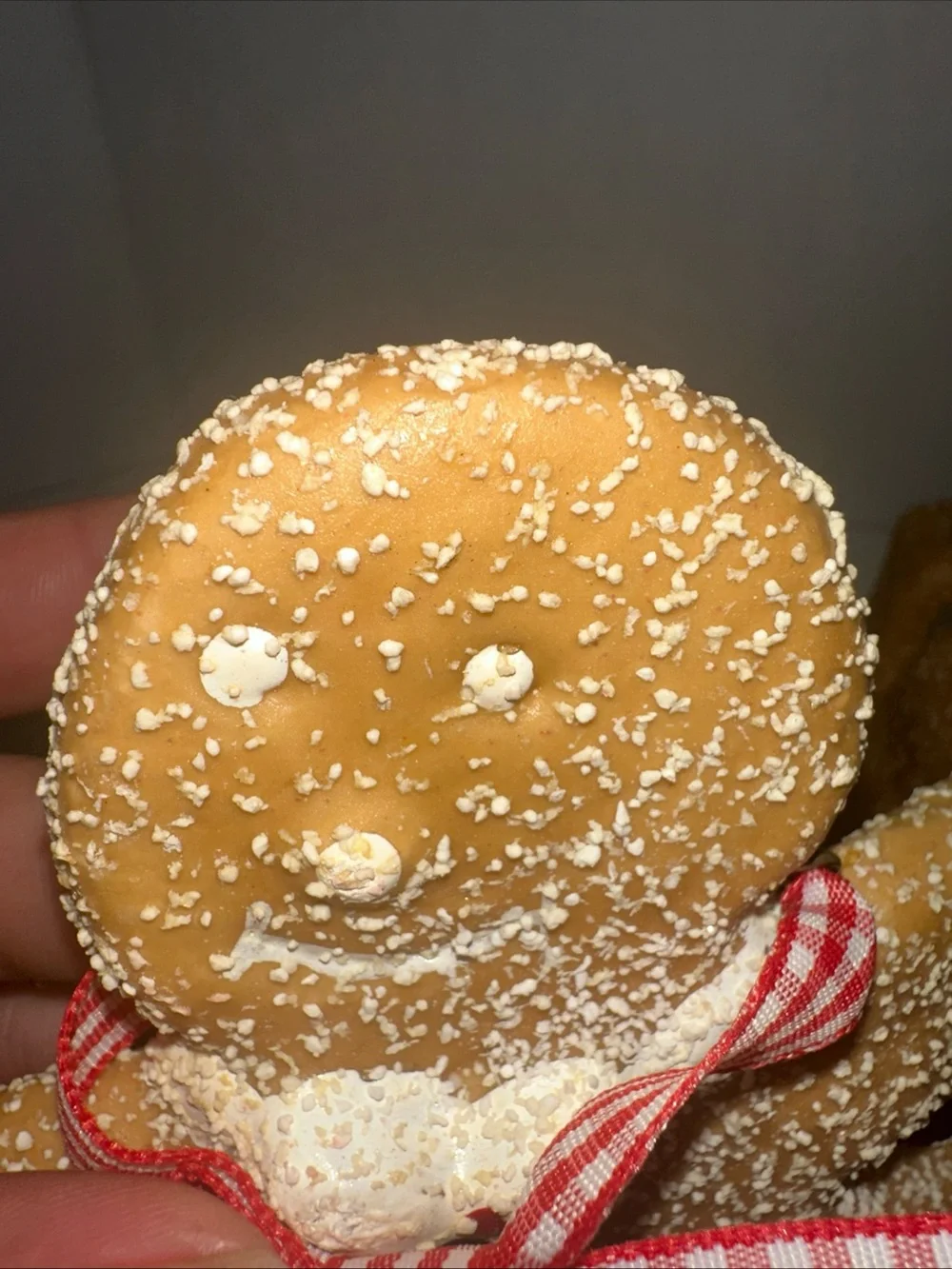 Set of 3 Gingerbread Cookie Ornaments 6”